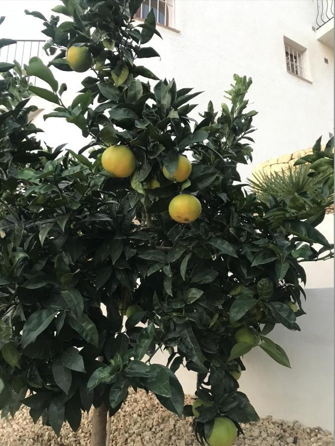 カルプ Casa Zeboleヴィラ エクステリア 写真